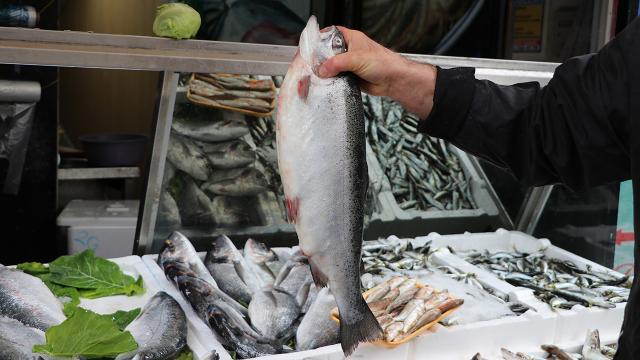 Karadeniz'den 11 ayda 125,9 milyon dolarlık Türk somonu ihraç edildi