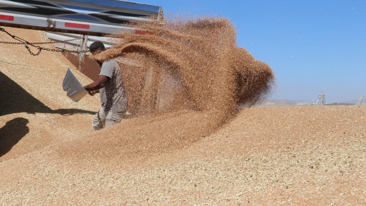 Güneydoğu'nun ocakta hububat ihracatı 282 milyon dolara ulaştı
