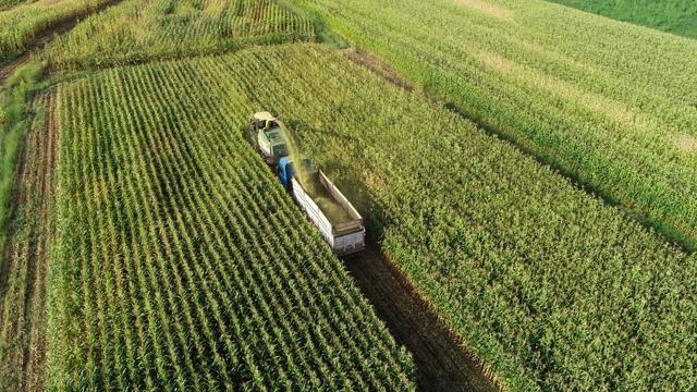 Tarım sektörü ihracatta ocak-şubat rekoru kırdı
