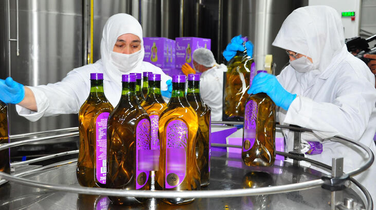 60 ülkeye zeytin ve zeytinyağı ihracatı