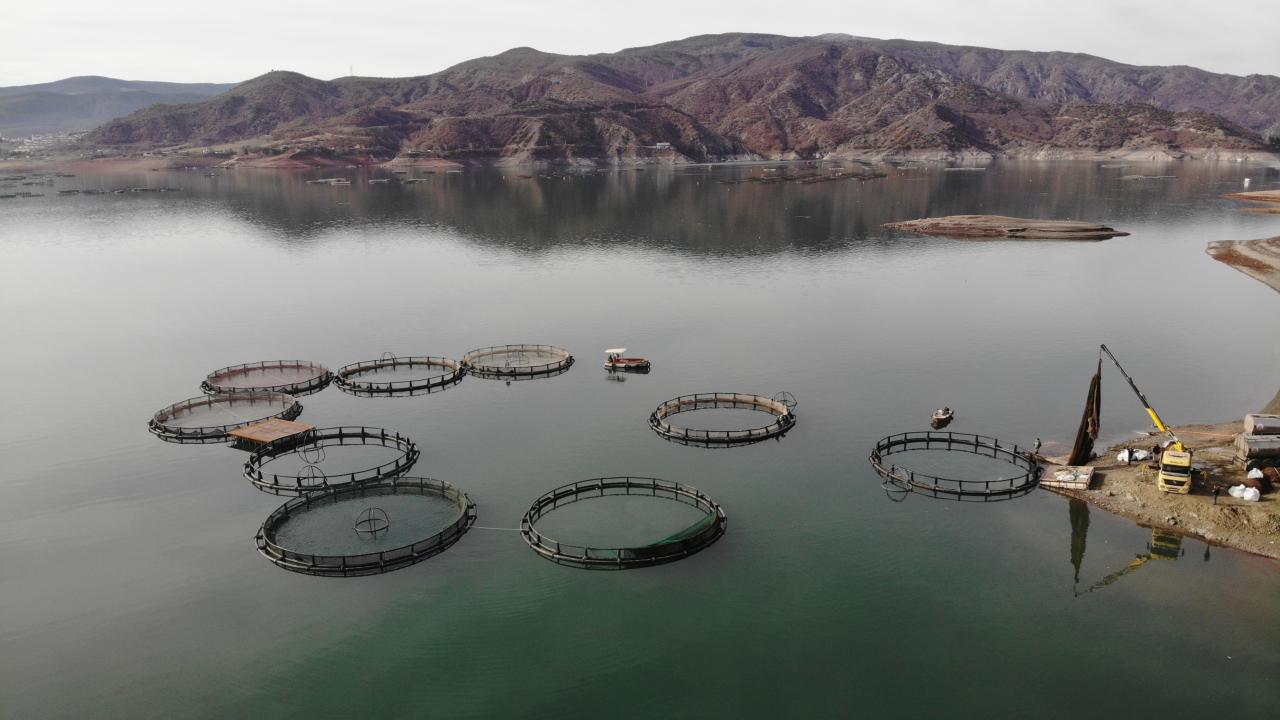 Denizi olmayan Tokat'tan somon ihracatı